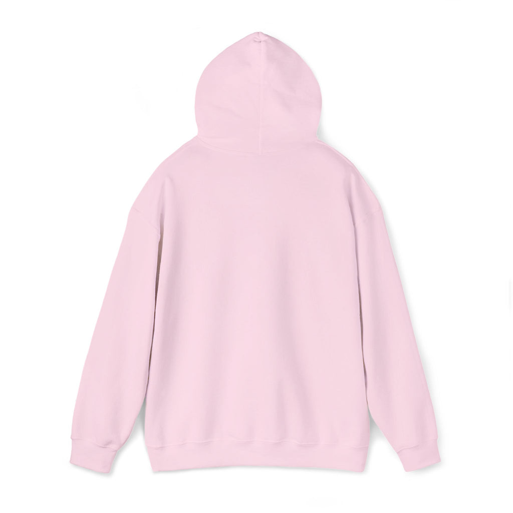Hoodie — "Strepenada"🌥️