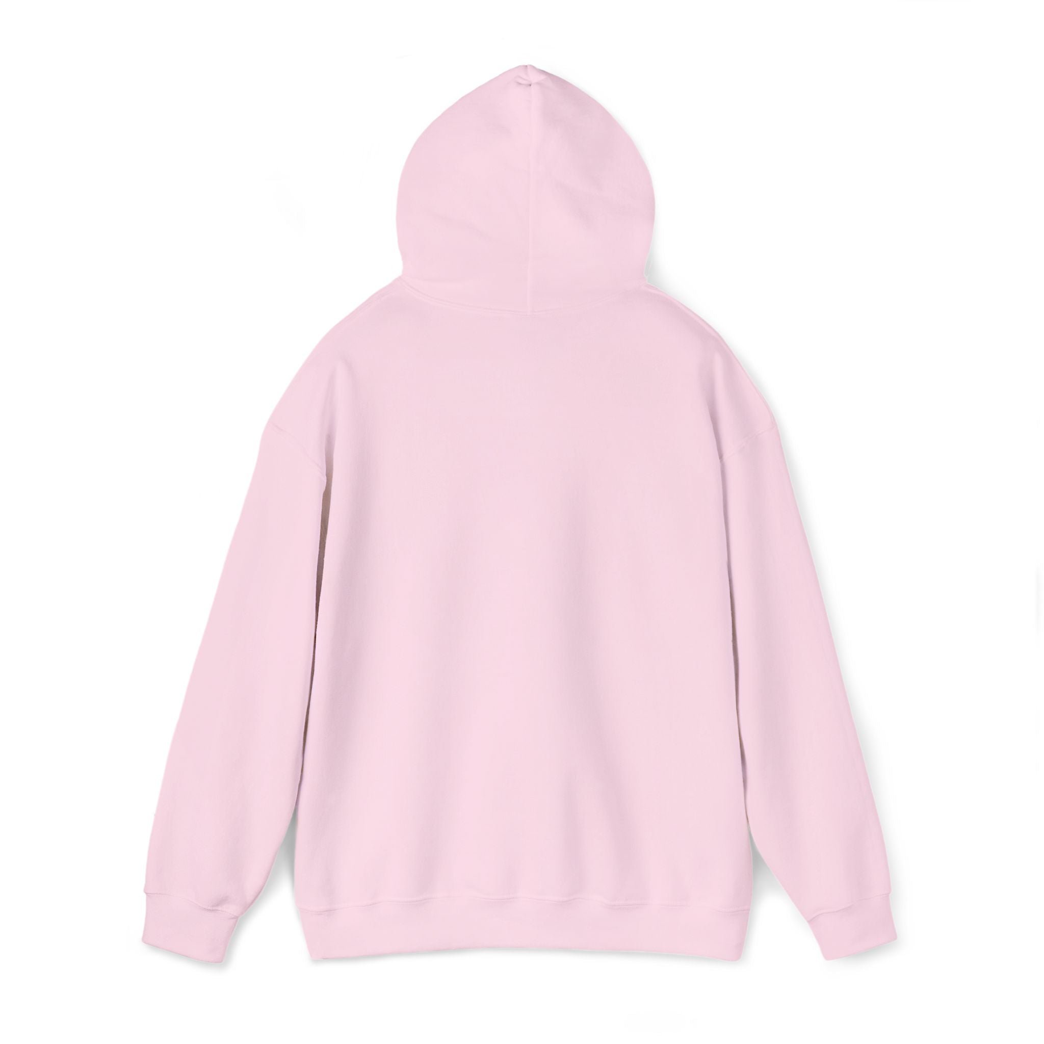 Hoodie — "Strepenada"🌥️