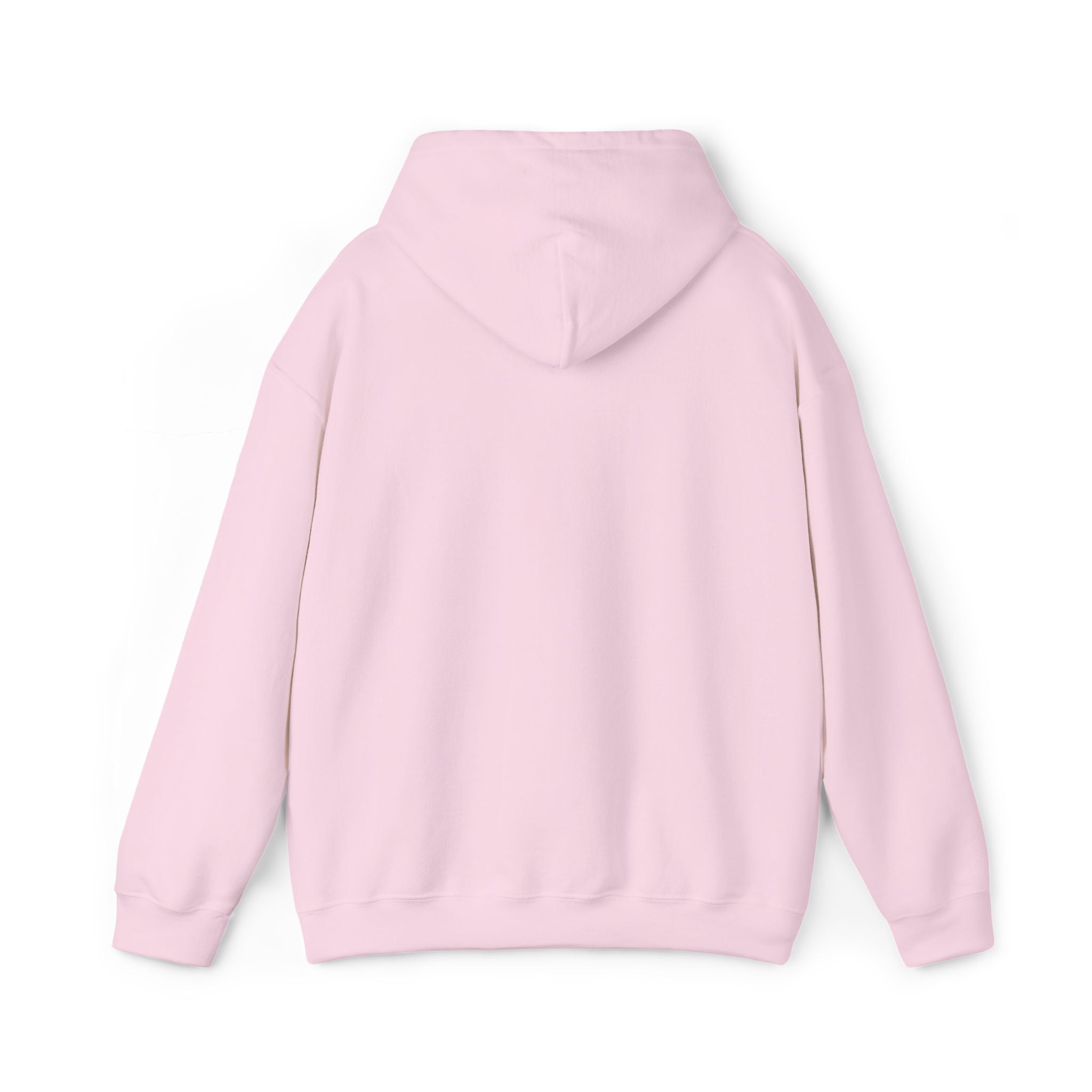 Hoodie — "Strepenada"🌥️