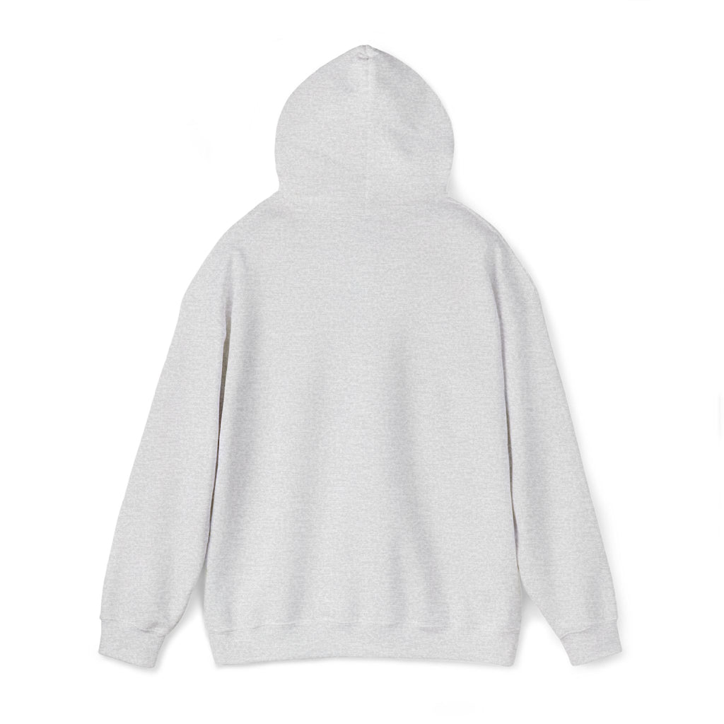 Hoodie — "Strepenada"🌥️