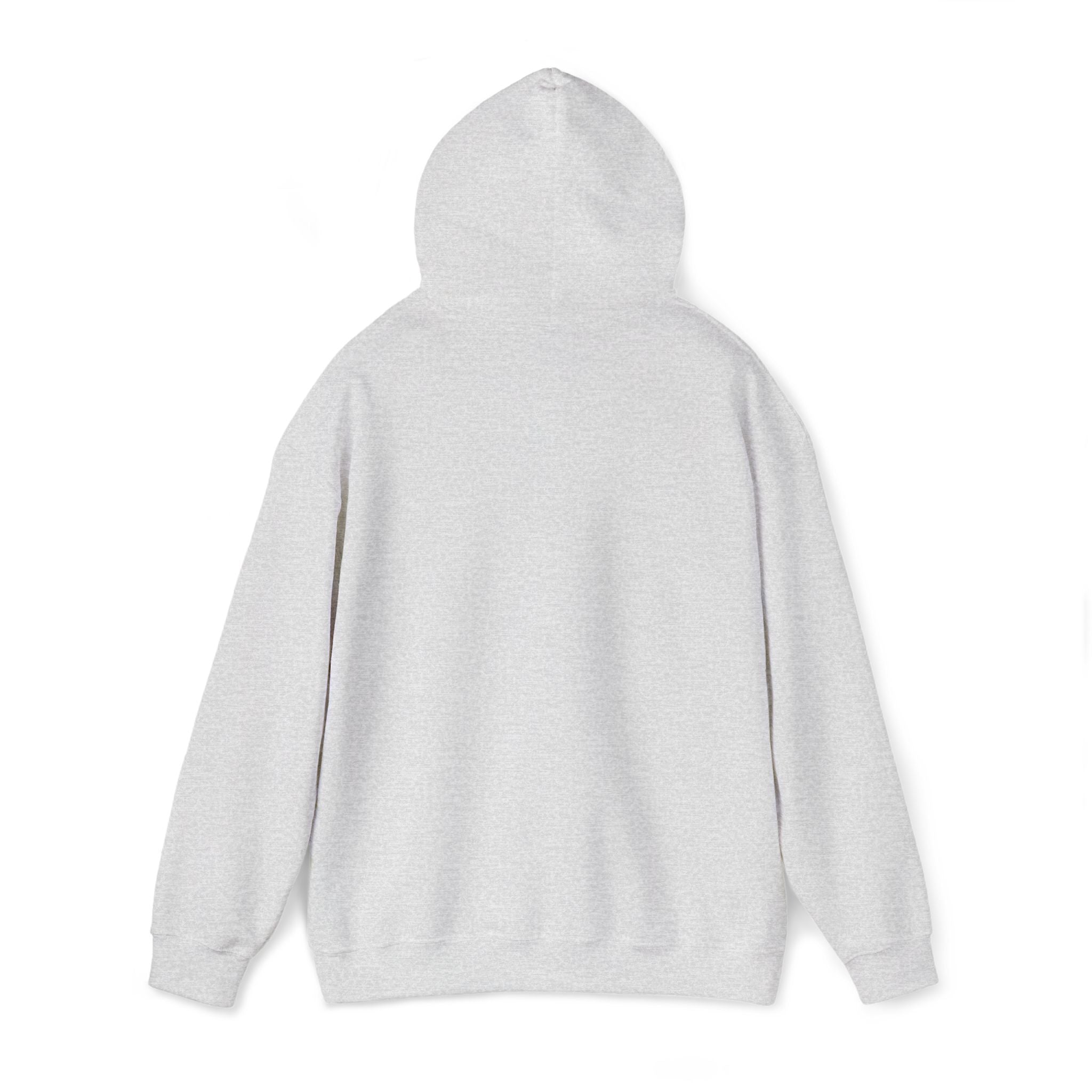 Hoodie — "Strepenada"🌥️