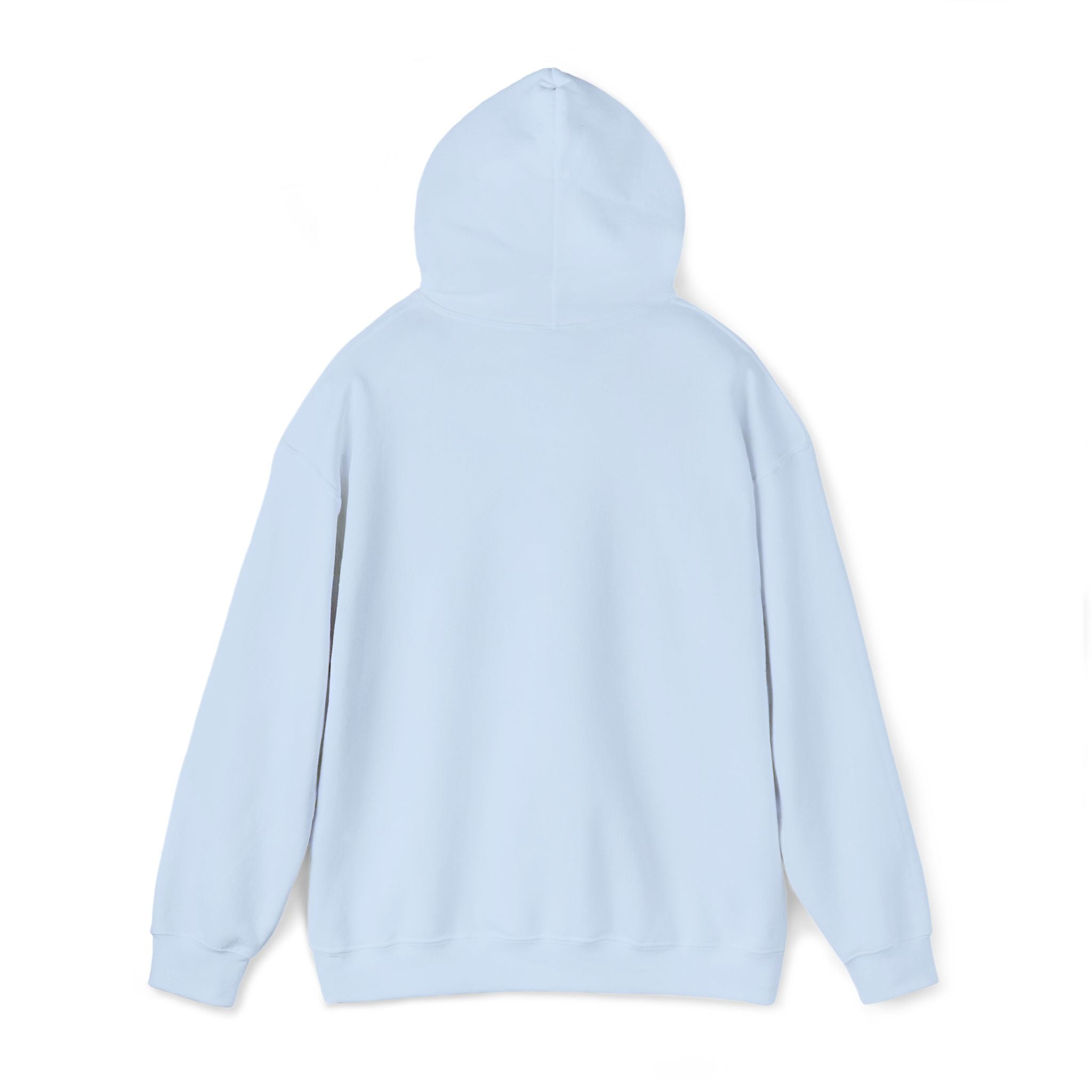 Hoodie — "Strepenada"🌥️